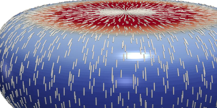 Active Rheology/Mechanics of active Biomaterials