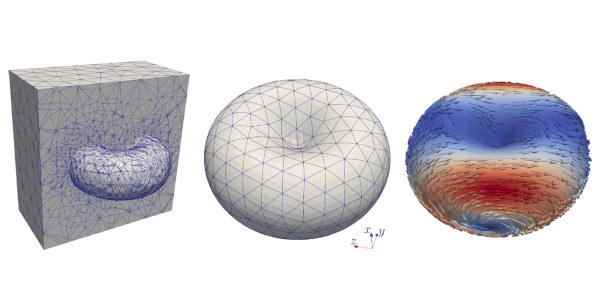 Numerical methods for surface fluids