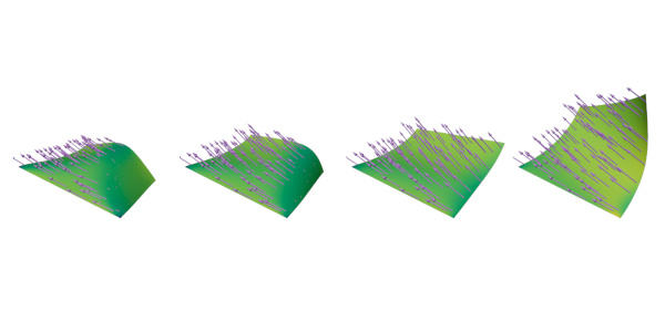 Error estimates for elastic flows