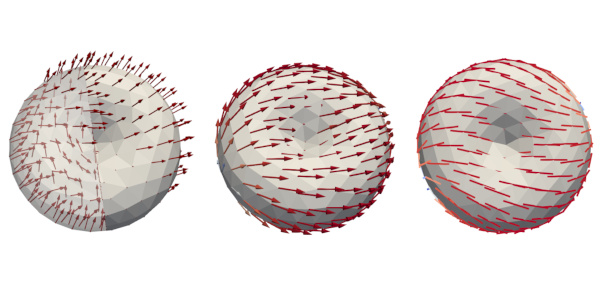 Symmetry, length, and tangential constraints